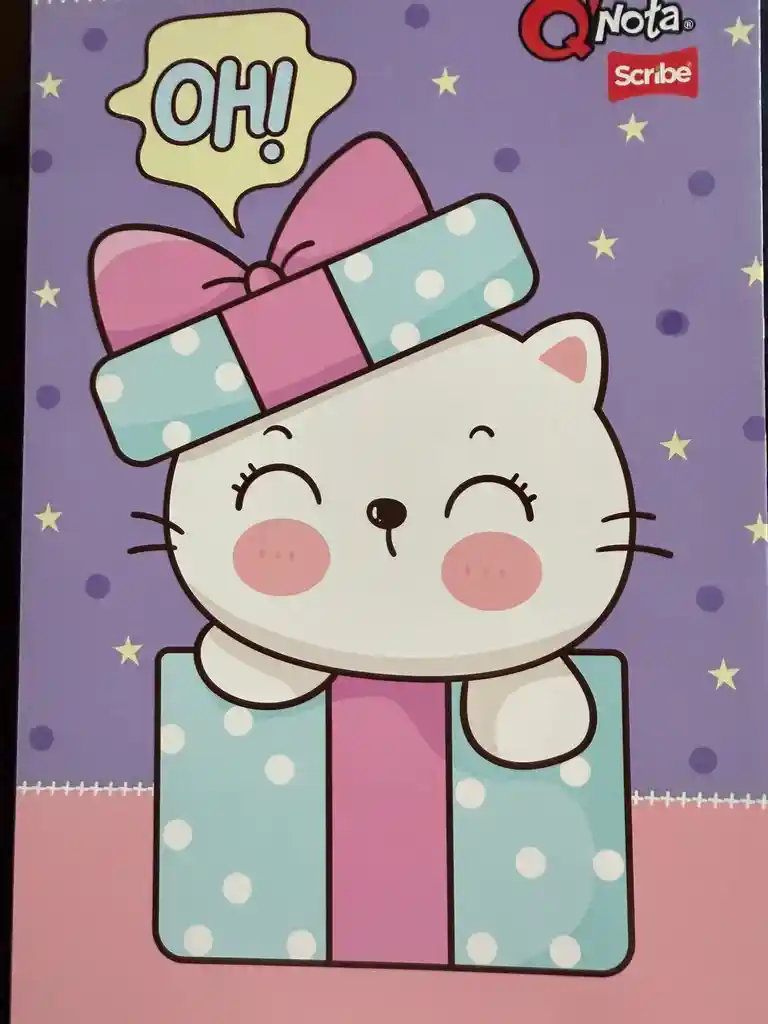 Cuaderno Cuadriculado Para Niña