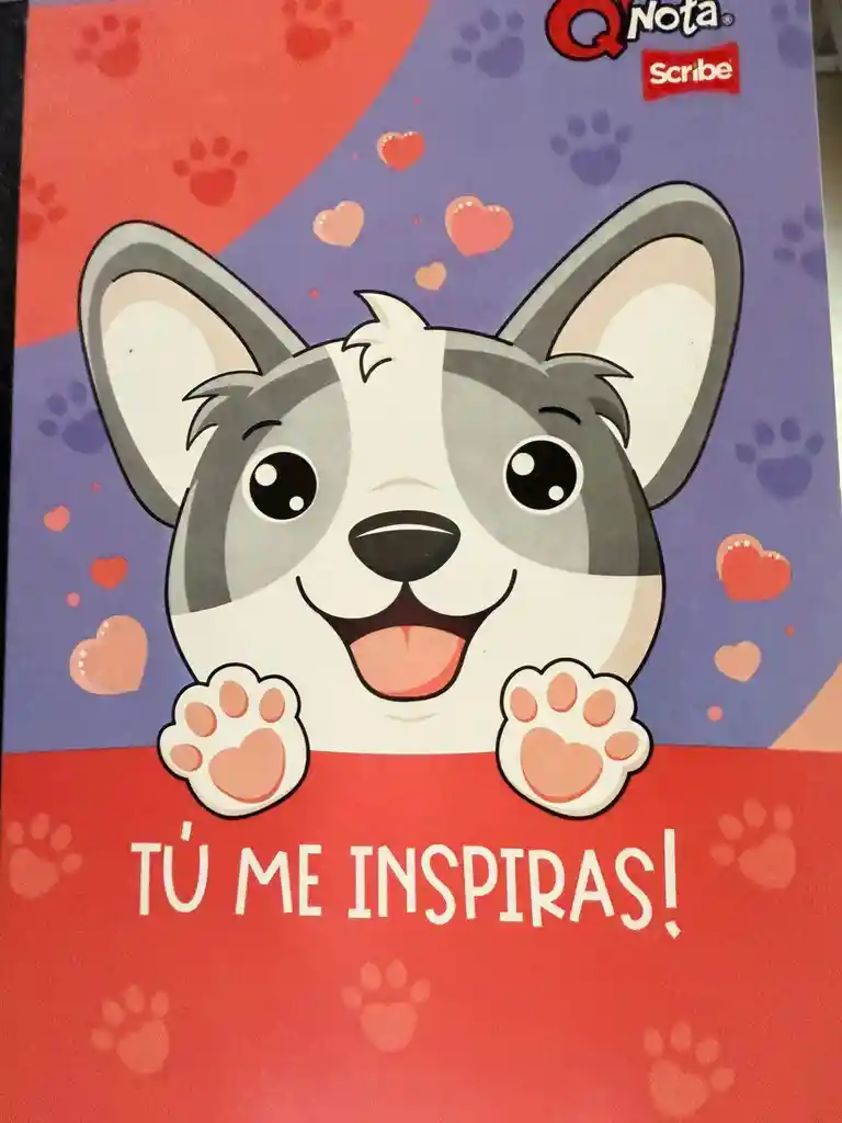 Cuaderno Cuadriculado Para Niña