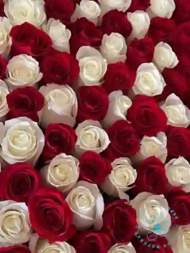 Flores Rosas Bouquet De 150 Rojas Y Blancas
