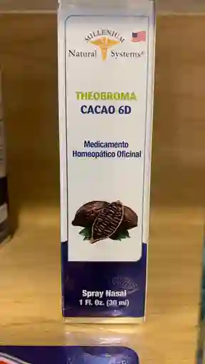 Theobroma Cacao