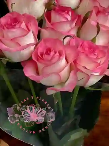 Flores Bouquet De 8 Rosas Rosadas
