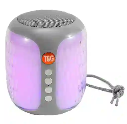 Parlante Conexión Inalámbrica Tg-611 Gris