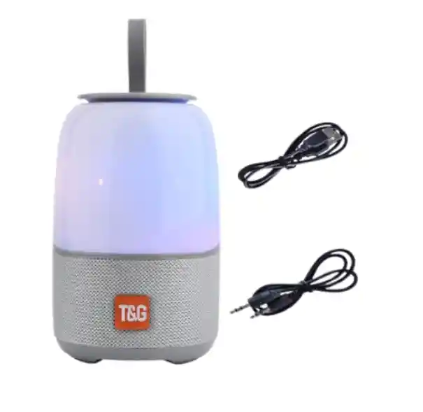 Parlante Tg608 Gris Con Batería Recargable Y Manija Portátil