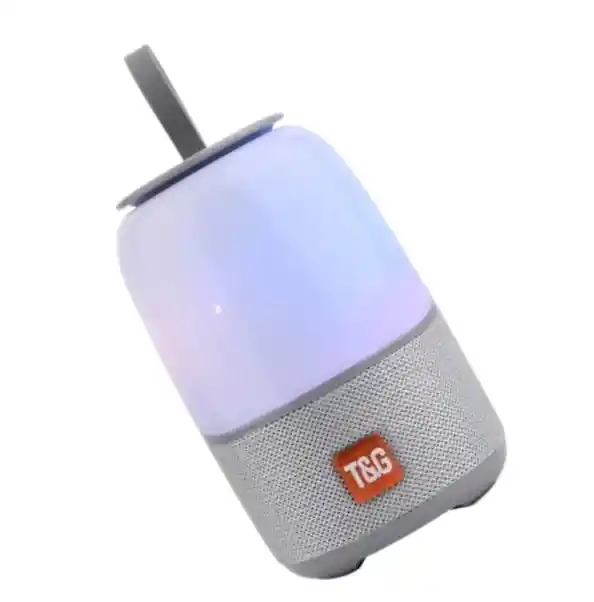 Parlante Tg608 Gris Con Batería Recargable Y Manija Portátil