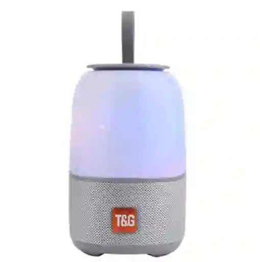 Parlante Tg608 Gris Con Batería Recargable Y Manija Portátil