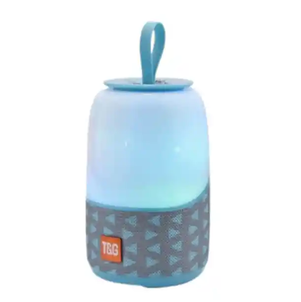 Parlante Tg608 Celeste Con Batería Recargable Y Manija Portátil