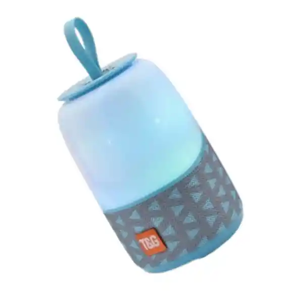 Parlante Tg608 Celeste Con Batería Recargable Y Manija Portátil