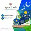 Lyptus Porub