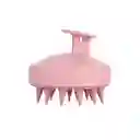 Cepillo Para La Ducha