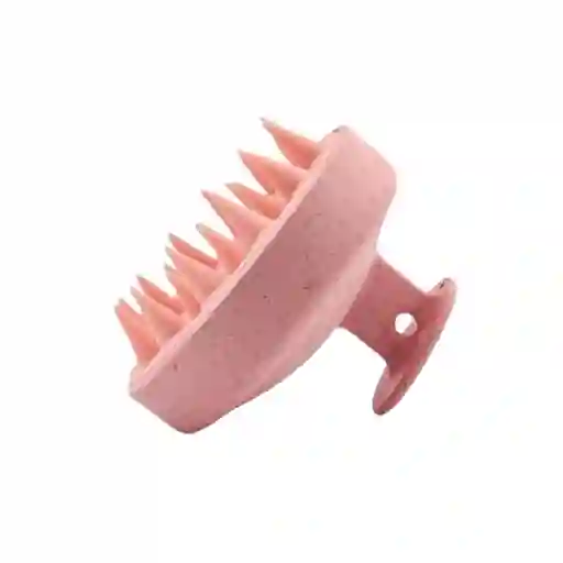 Cepillo Para La Ducha