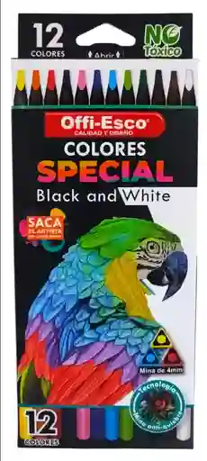 Colores Special X 12 Offi Esco