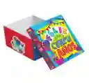 Caja De Regalo Cumpleaños 21.5 X 18.5 X 10.5 Cm Diseños Surtidos Primavera