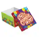 Caja De Regalo Cumpleaños 21.5 X 18.5 X 10.5 Cm Diseños Surtidos Primavera