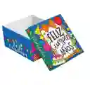 Caja De Regalo Cumpleaños 21.5 X 18.5 X 10.5 Cm Diseños Surtidos Primavera