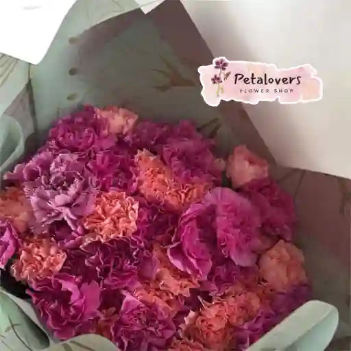 Flores De Claveles Y Clavelitos