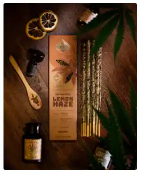 Incienso Lemon Haze – Cannabis
