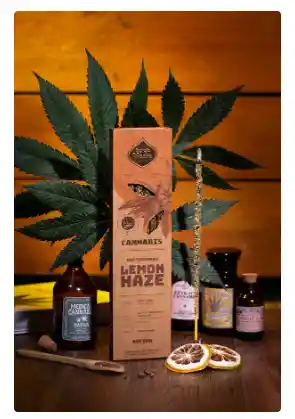 Incienso Lemon Haze – Cannabis