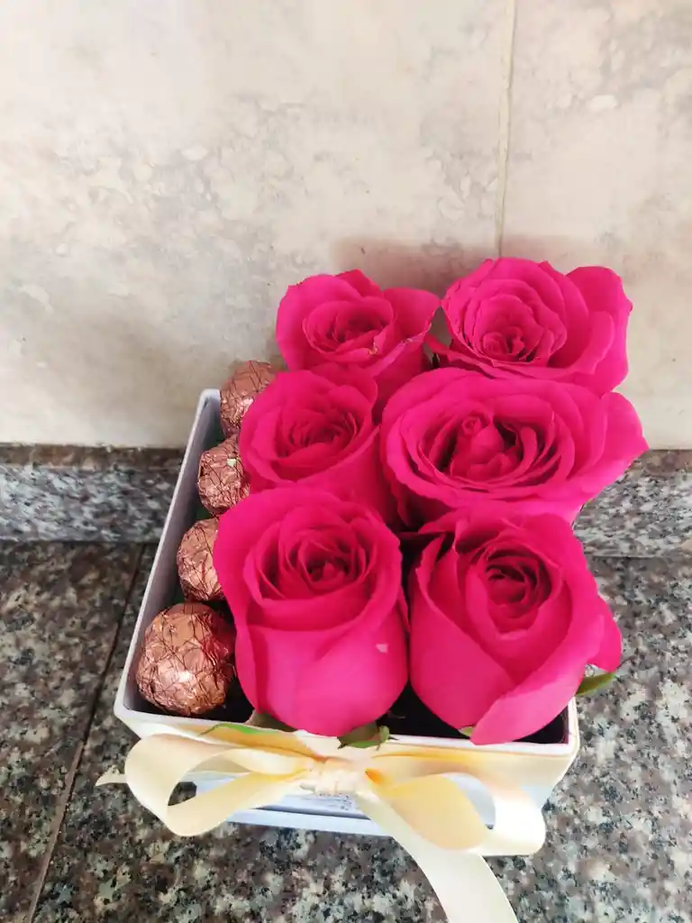 Caja Aurora