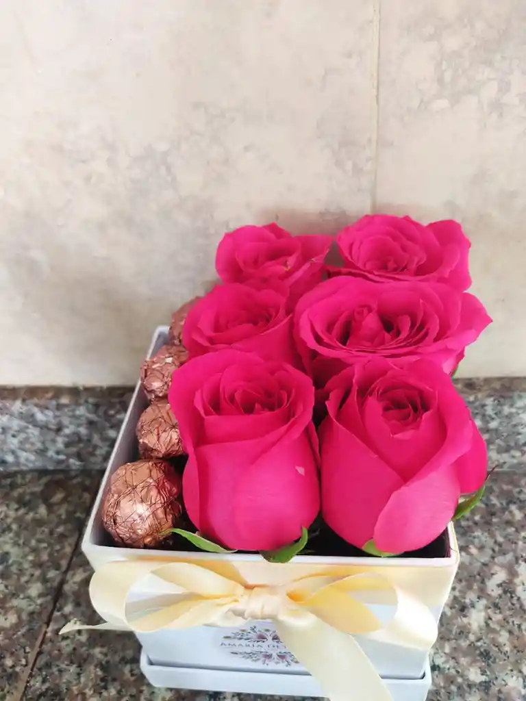 Caja Aurora