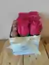 Caja Aurora