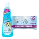 Shampoo Perros 2 En 1 Y Toallitas