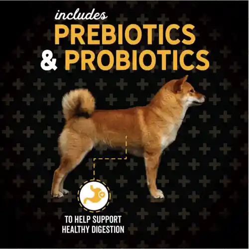 Evolve Dog Grain Free Senior Chicken 28 Lbs -12,7kg