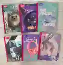 Cuaderno Cocido 50h Linea Niña Expresarte Norma Con Stickers