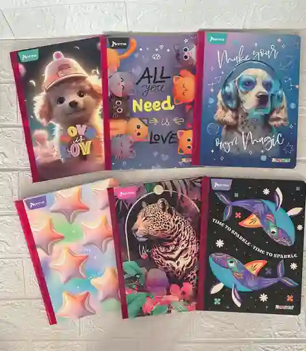 Cuaderno Cocido 50h Linea Niña Expresarte Norma Con Stickers