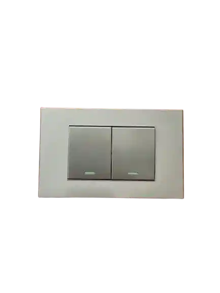 Interruptor Doble Plateado