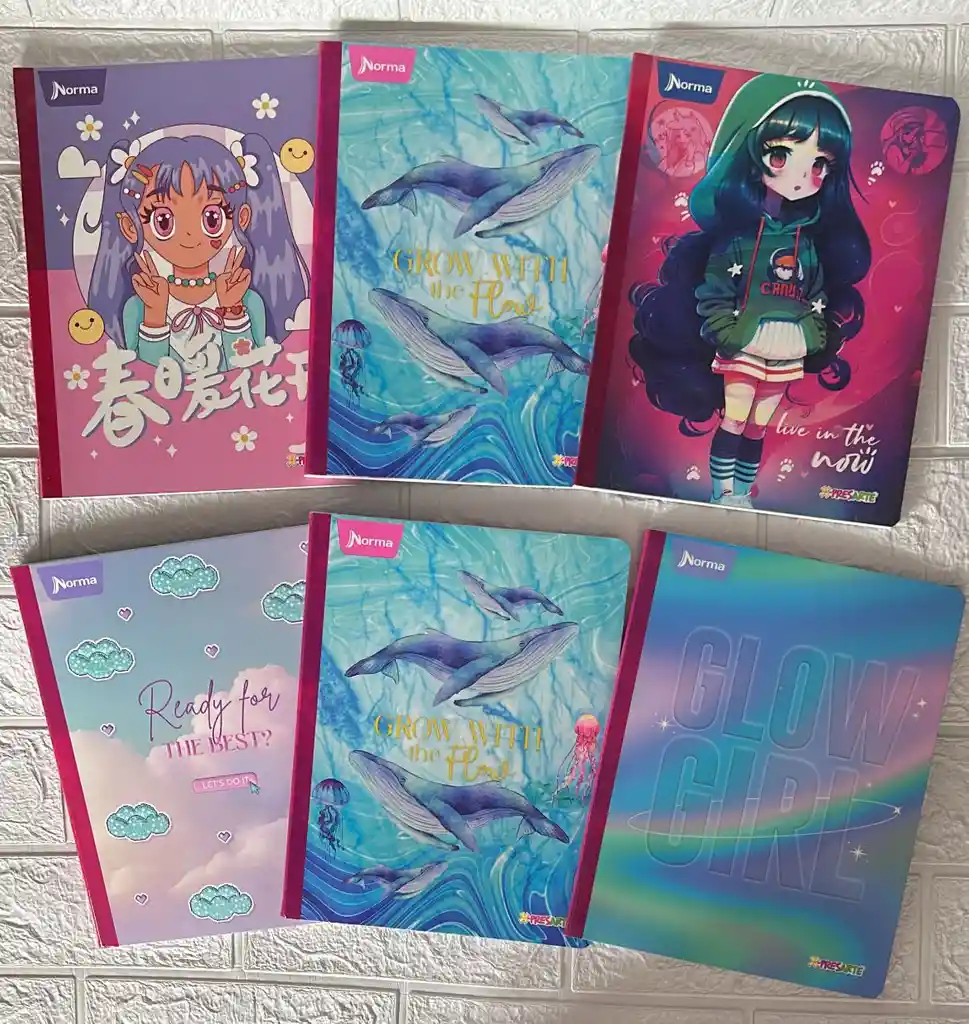 Cuaderno Cocido 50h Cuadros Niña Expresarte Norma Con Stickers