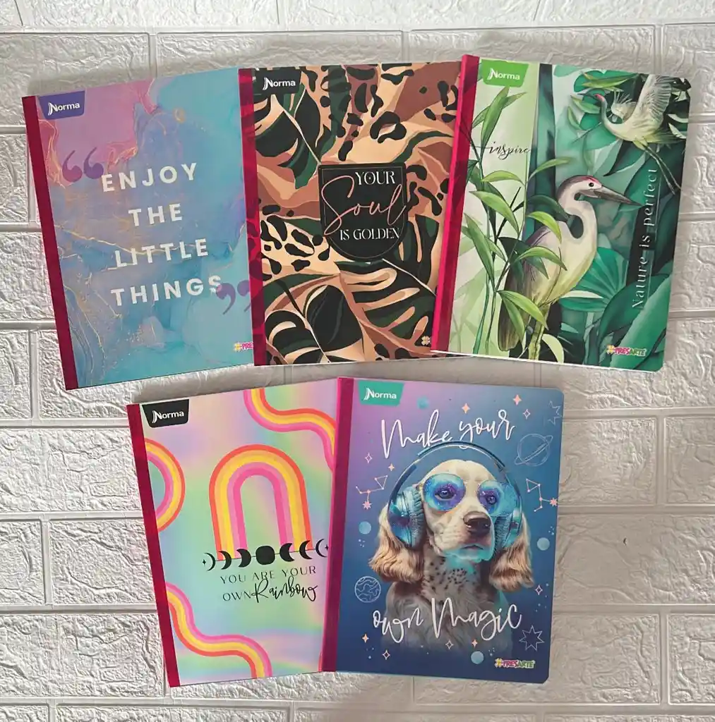 Cuaderno Cocido 50h Cuadros Niña Expresarte Norma Con Stickers