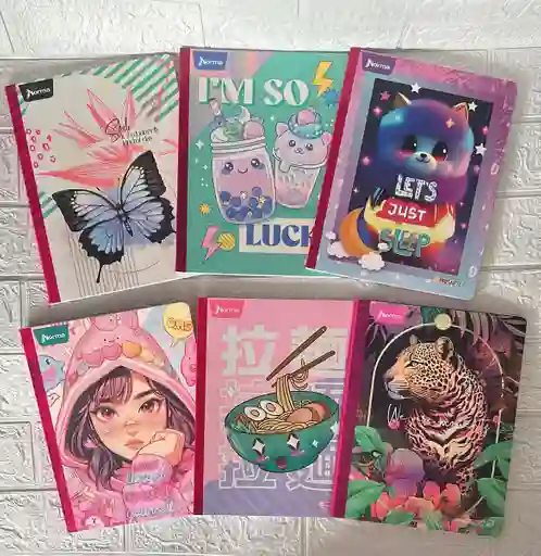 Cuaderno Cocido 50h Cuadros Niña Expresarte Norma Con Stickers