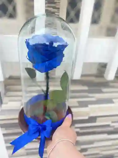 Rosa Azul