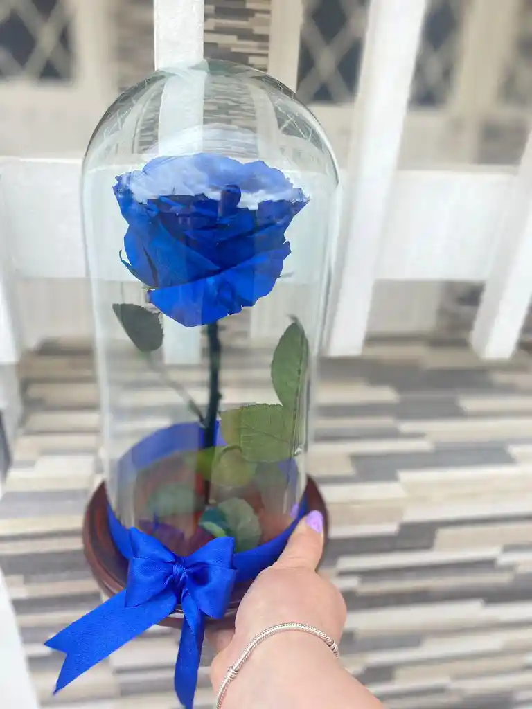 Rosa Azul