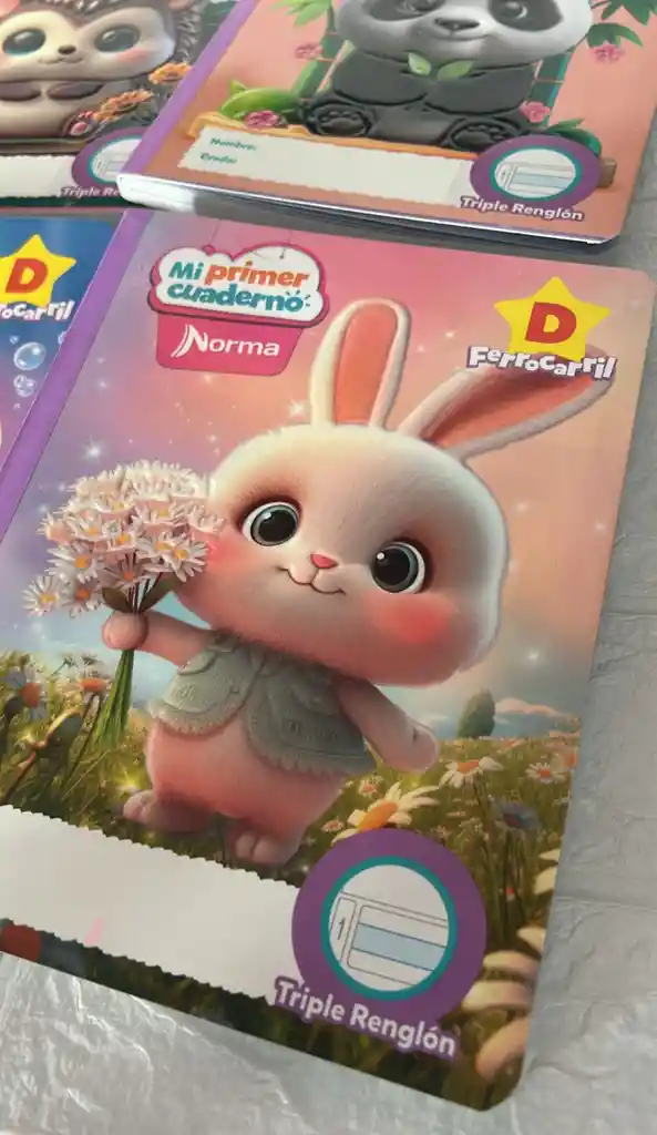 Cuaderno Cocido Norma D Mi Primer Cuaderno D Niña