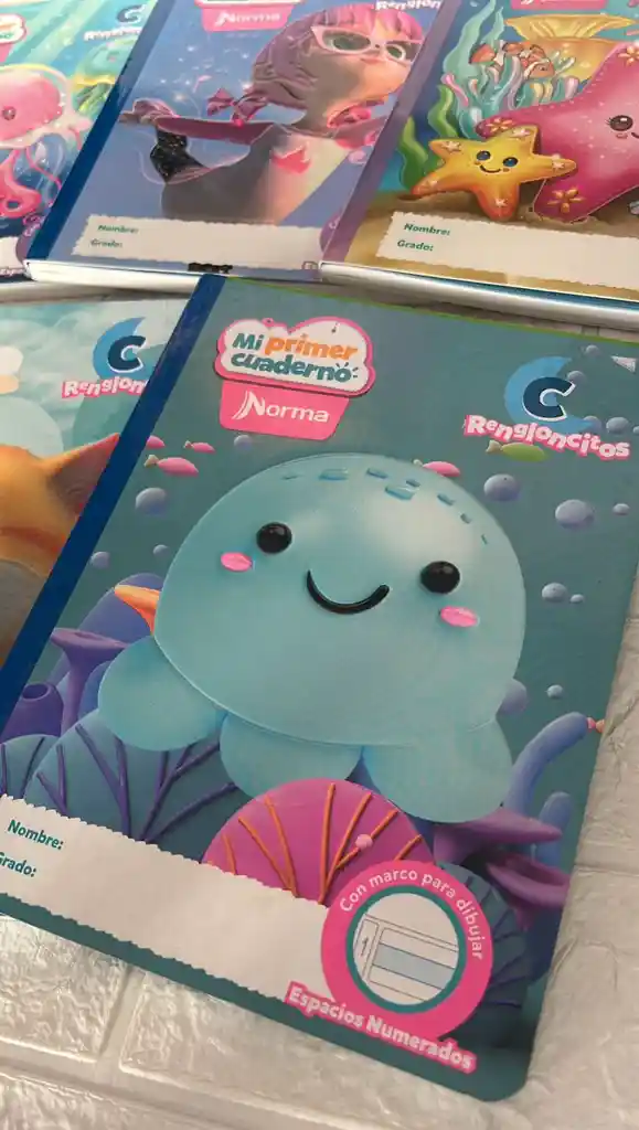 Cuaderno Cocido Norma C Mi Primer Cuaderno C Niña