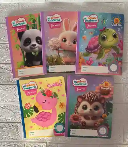 Cuaderno Cocido Norma B Mi Primer Cuaderno B Niña