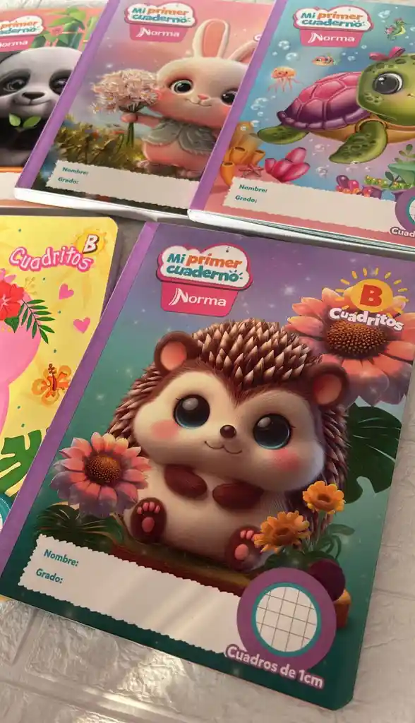 Cuaderno Cocido Norma B Mi Primer Cuaderno B Niña
