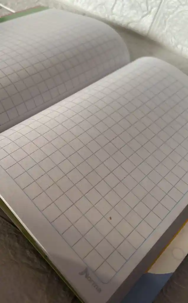 Cuaderno Cocido Norma B Mi Primer Cuaderno B Niño