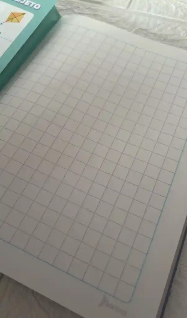 Cuaderno Cocido 100h Cuadros Progresivos Niña