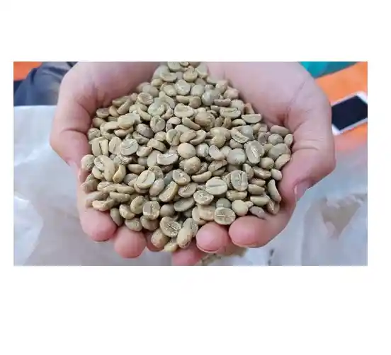 Cafe Verde En Grano X 500 Gramos