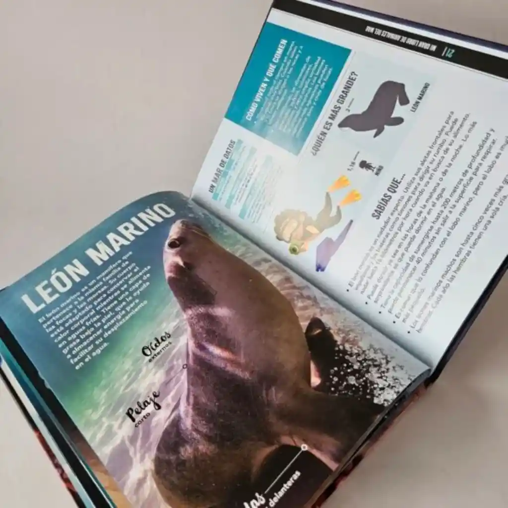 Mi Gran Libro De Animales De Mar