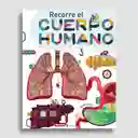 Recorre El Cuerpo Humano