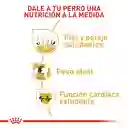 Royal Canin Cocker Adulto 3 Kg
