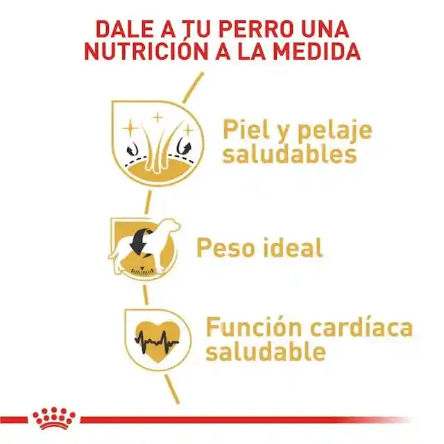 Royal Canin Cocker Adulto 3 Kg