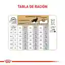 Royal Canin Cocker Adulto 3 Kg