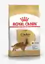 Royal Canin Cocker Adulto 3 Kg