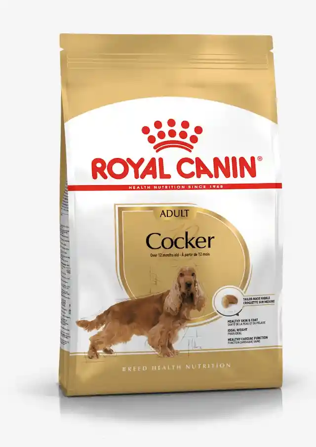 Royal Canin Cocker Adulto 3 Kg