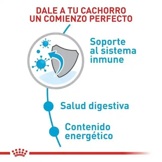 Royal Canin Mini Indoor Cachorro 1.5 Kg