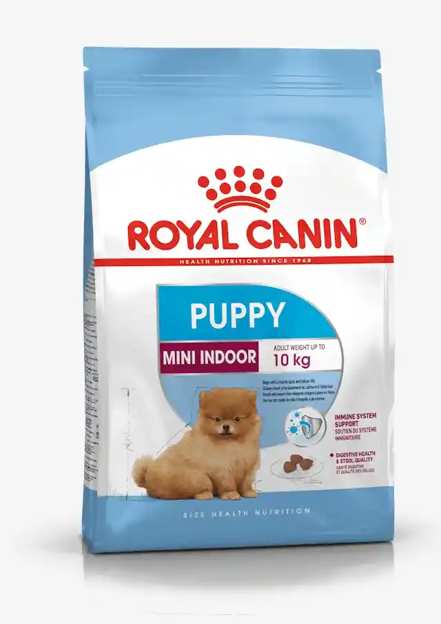 Royal Canin Mini Indoor Cachorro 1.5 Kg